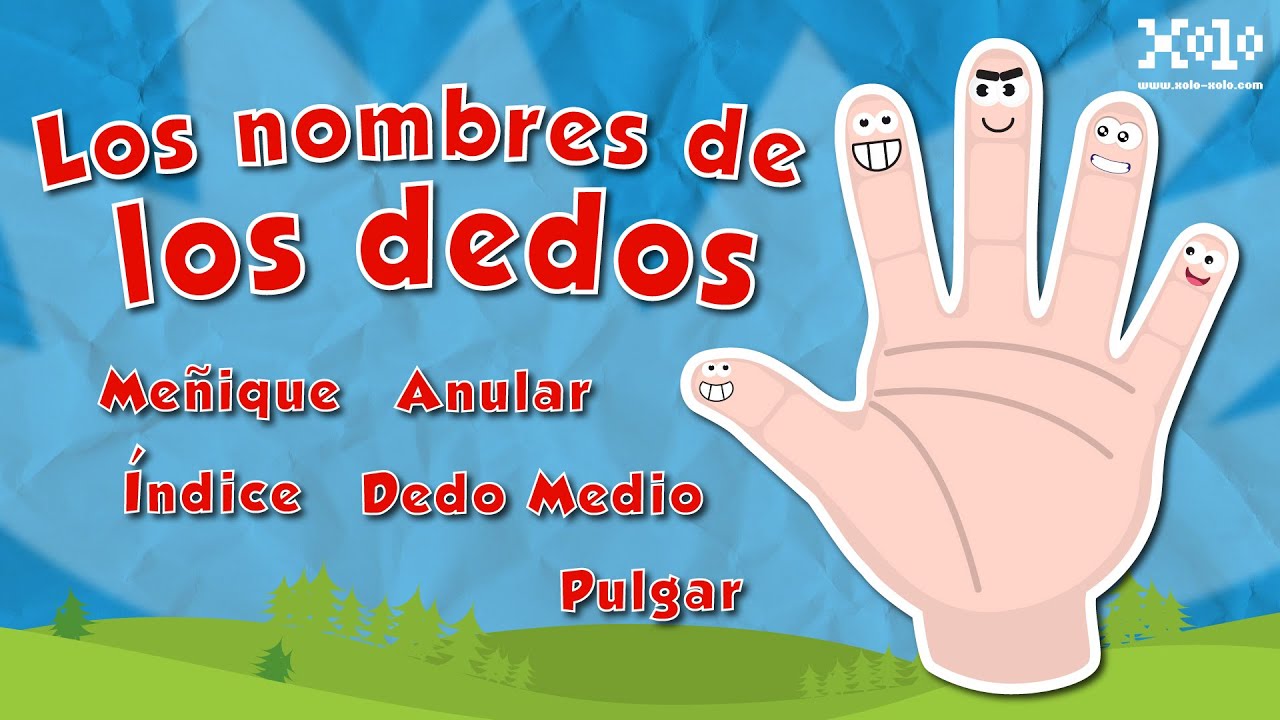 cuales son los nombres de los dedos de la mano