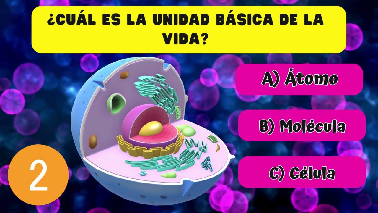examen biologia 4 eso la celula