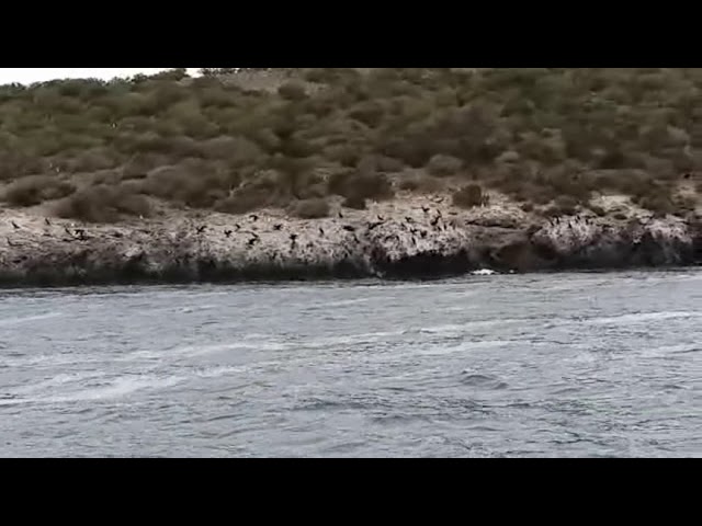 isla en el mar menor