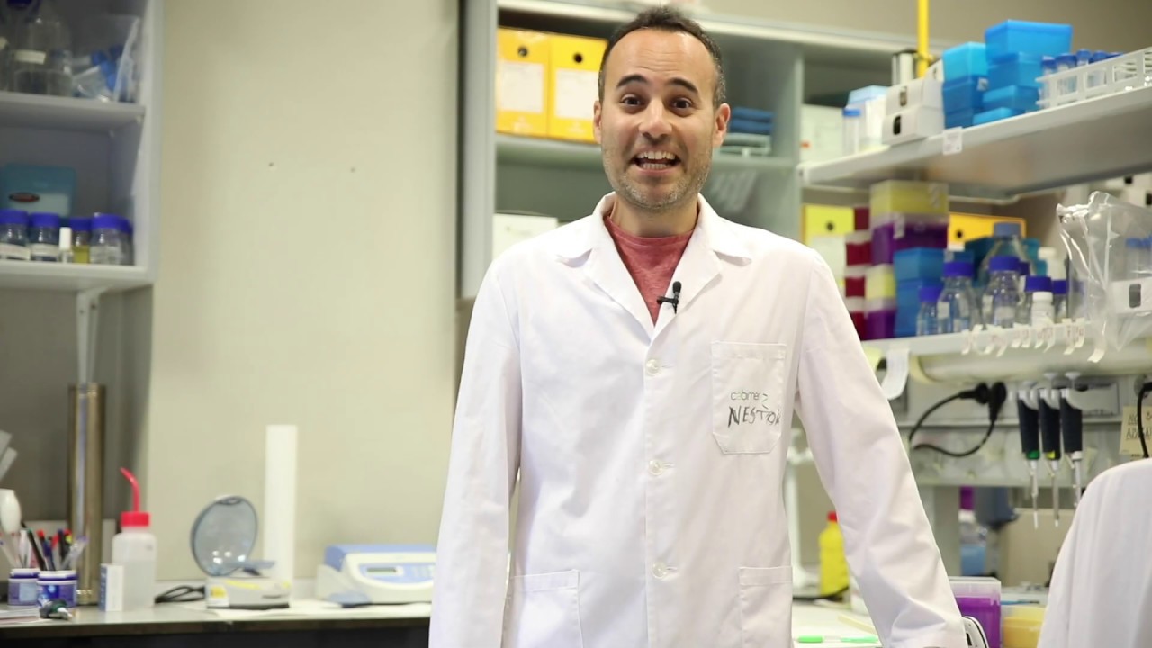 la noche europea de los investigadores sevilla