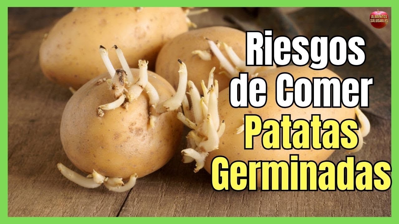 la papa o patata es un comestible