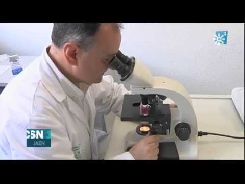 niveles de polen en jaen hospital