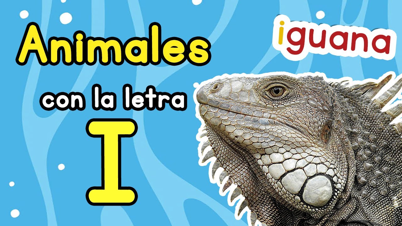 animal con la inicial i