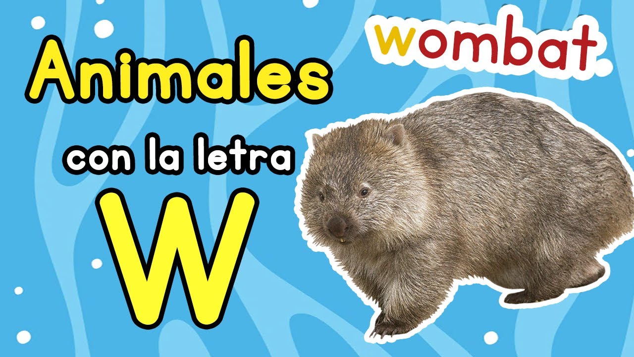 animales que empiecen con la letra w