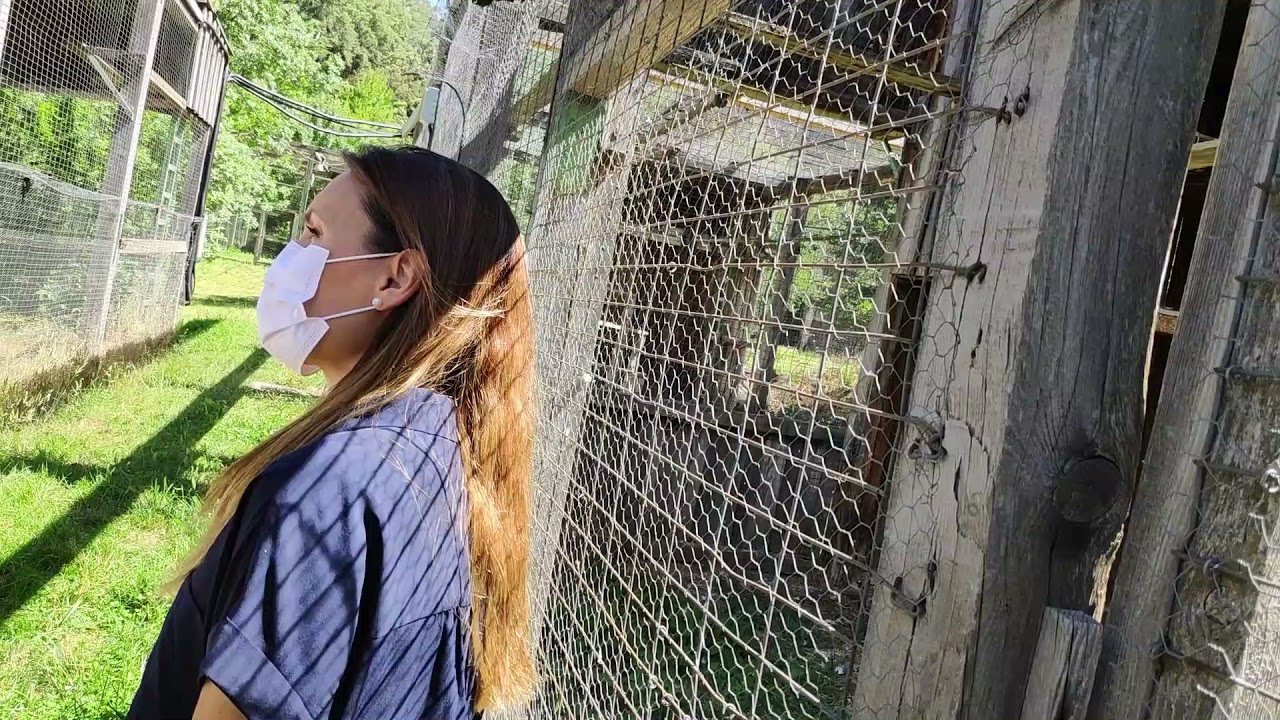 centro de cria del quebrantahuesos cazorla