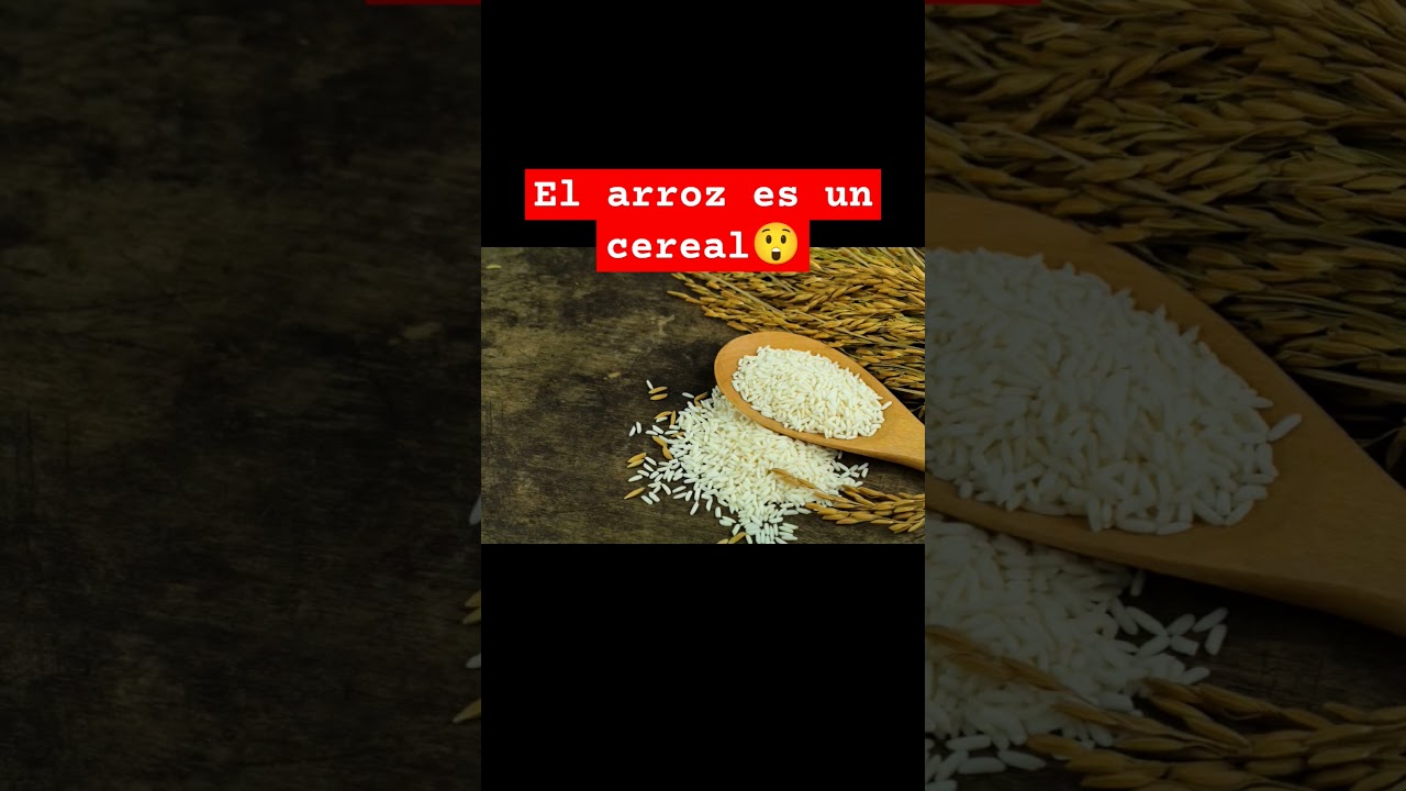 el arroz es una legumbre o un cereal