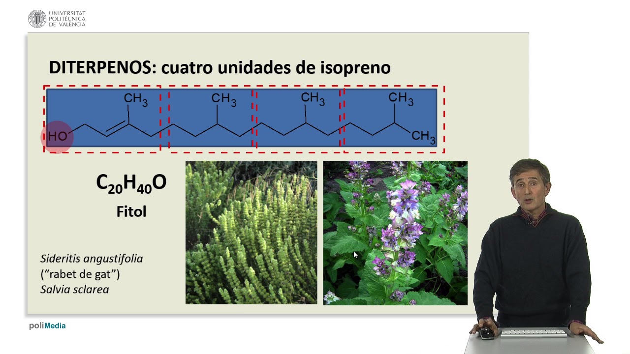 formula quimica del aceite de oliva
