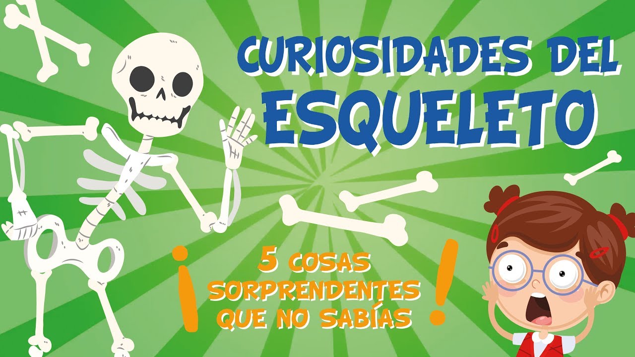 hueso mas corto del cuerpo humano